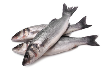 Fresh seabass