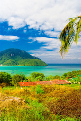 Obraz premium Palms Panorama Azure Backdrop