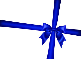 Blue ribbon bow on white background.