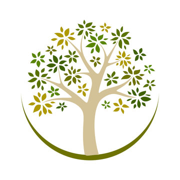 Vector tree 17
