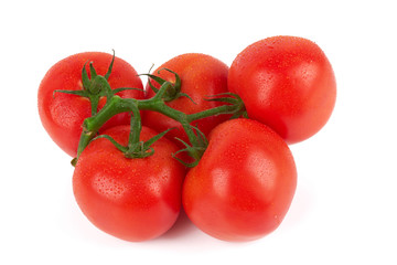 tomatoes