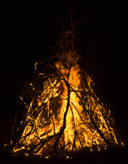 close-up big campfire at the night