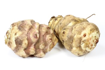 Topinambur isoliert auf weißem Hintergrund