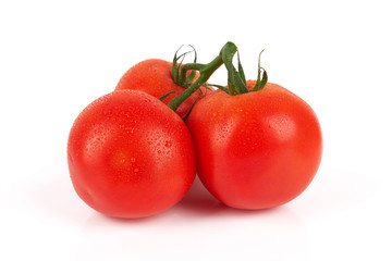 tomatoes