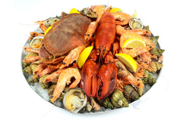plateau de fruits de mer
