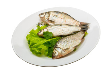 Crucian fish