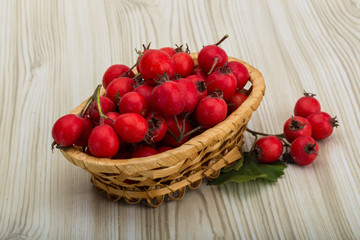 Hawthorn