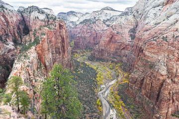 Autumn in Zion NP