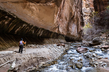 hiking the Narrows in Zion NP