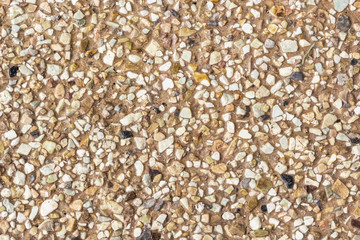 terrazzo floor background or textuer
