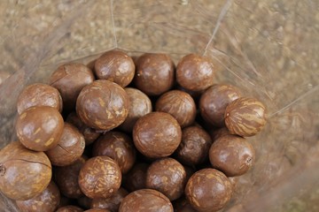 Macadamia nuts