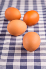 Eggs the delicious and nutritious product