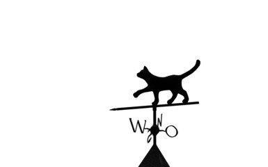 Weather vane is instrument showing direction of wind