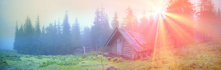  Shepherd huts in a misty forest © panaramka