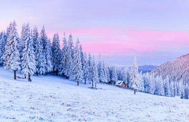 cabin in the mountains in winter