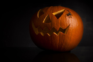 Jack O Lantern halloween pumpkin 