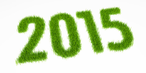 2015 year grass in perspective