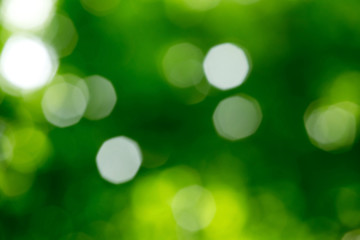 Natural Bokeh,blurred bokeh.