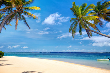Naklejka premium Perfect tropical beach with palms and sand, Mauritius
