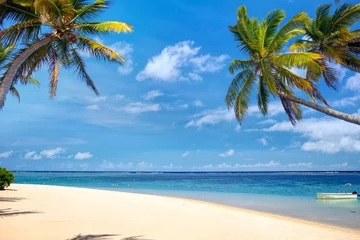 Papier Peint photo Été Plage tropicale parfaite avec palmiers et sable, Ile Maurice