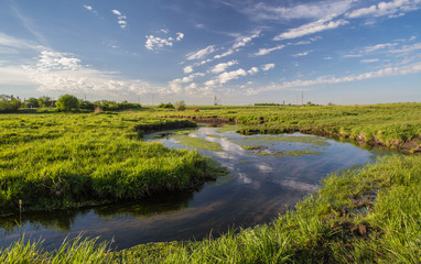Fototapeta na wymiar green grass, river and clouds