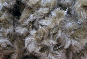 Fur background
