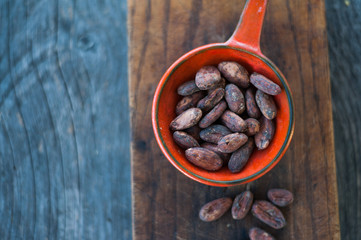Cocoa beans