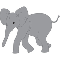 Fototapeta premium elefante