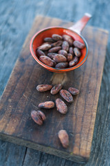 Cocoa beans