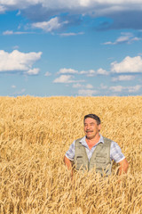 Naklejka na ściany i meble farmer standing in a wheat field