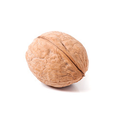 walnut isolated on white background