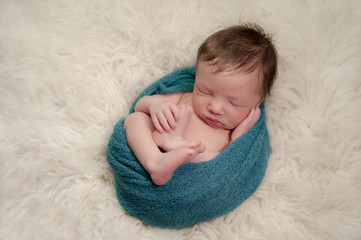 Portrait of a Curled Up, Sleeping Newborn Baby Boy