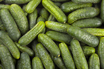 fresh cucumbers