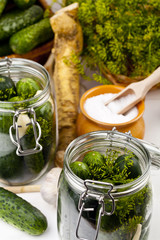 Homemade pickles in brine with garlic, dill and horseradish