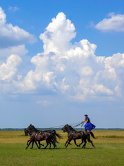 Horse show in hungarian puszta