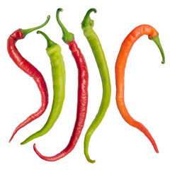 Red hot chili pepper isolated on white