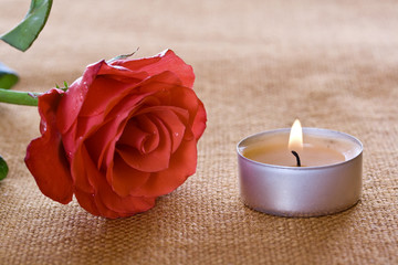 Rose and candle