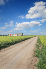 Obraz premium Agriculture, country road through canola field with beehives