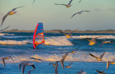 Planche à voile à Tréompan, Ploudalmézeau, Bretagne