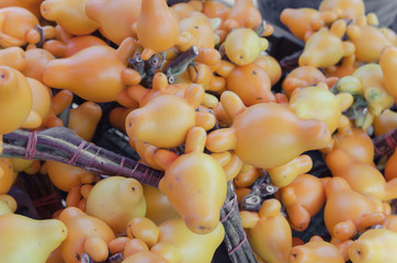 fancy eggplant, Nipple fruit, Titty Fruit, Cow's Udder, Apple of