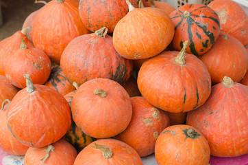 closeup picture of pumkins