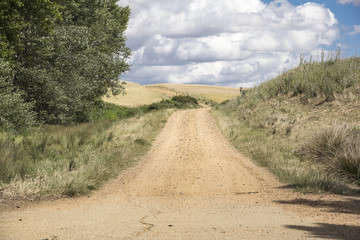 rural dirt road on a spring day