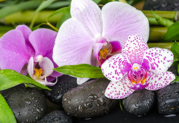 Obrazy na Szkle  Wellness: orchidee, kamienie, bambus i woda :)