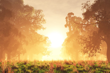 Fototapeta na wymiar Mysterious Magical Fantasy Fairy Tale Forest Sunset Sunrise 3D
