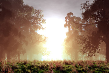 Mysterious Magical Fantasy Fairy Tale Forest Sunset Sunrise 3D