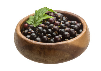 Black currant