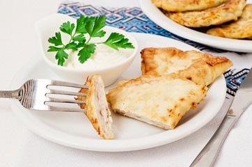 Ukrainian stuffed pancakes with meat (benderiki) in white plate