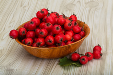 Hawthorn