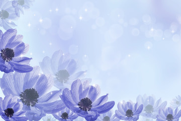 Obraz na płótnie Canvas fantastic background with flower anemone