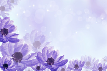 Fototapeta na wymiar fantastic background with flower anemone
